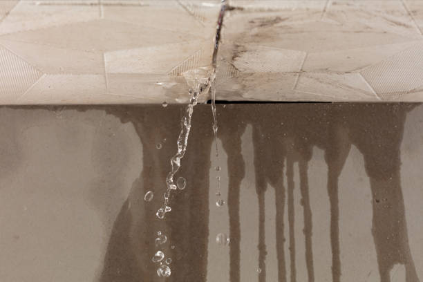 Professional Water Damage Inspection technician working in Canton, MA